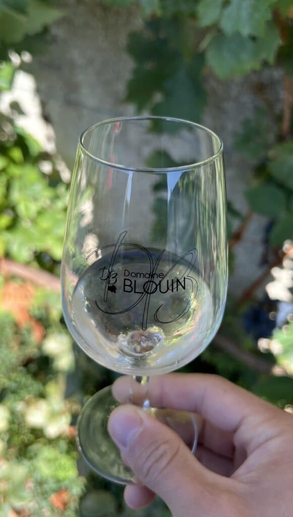 Quel verre choisir pour les vins pétillants : flûte ou coupe ?