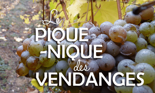 Pique-Nique des Vendanges 2023