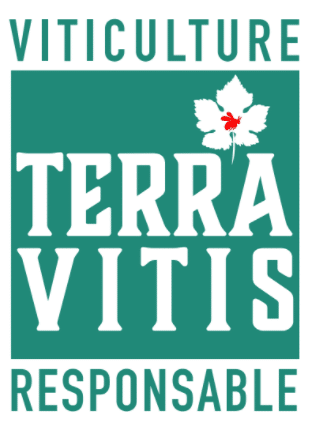 Logo Terra Vitis