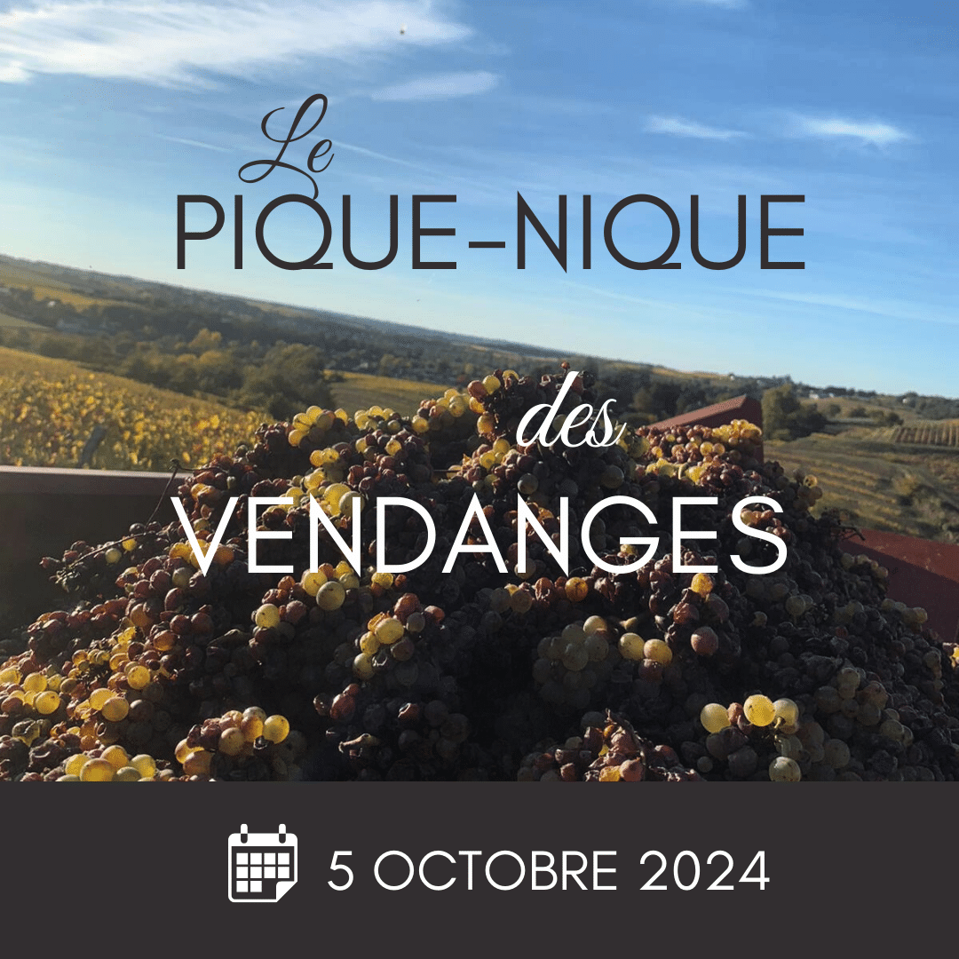 Pique-Nique des Vendanges 2024, 5 octobre