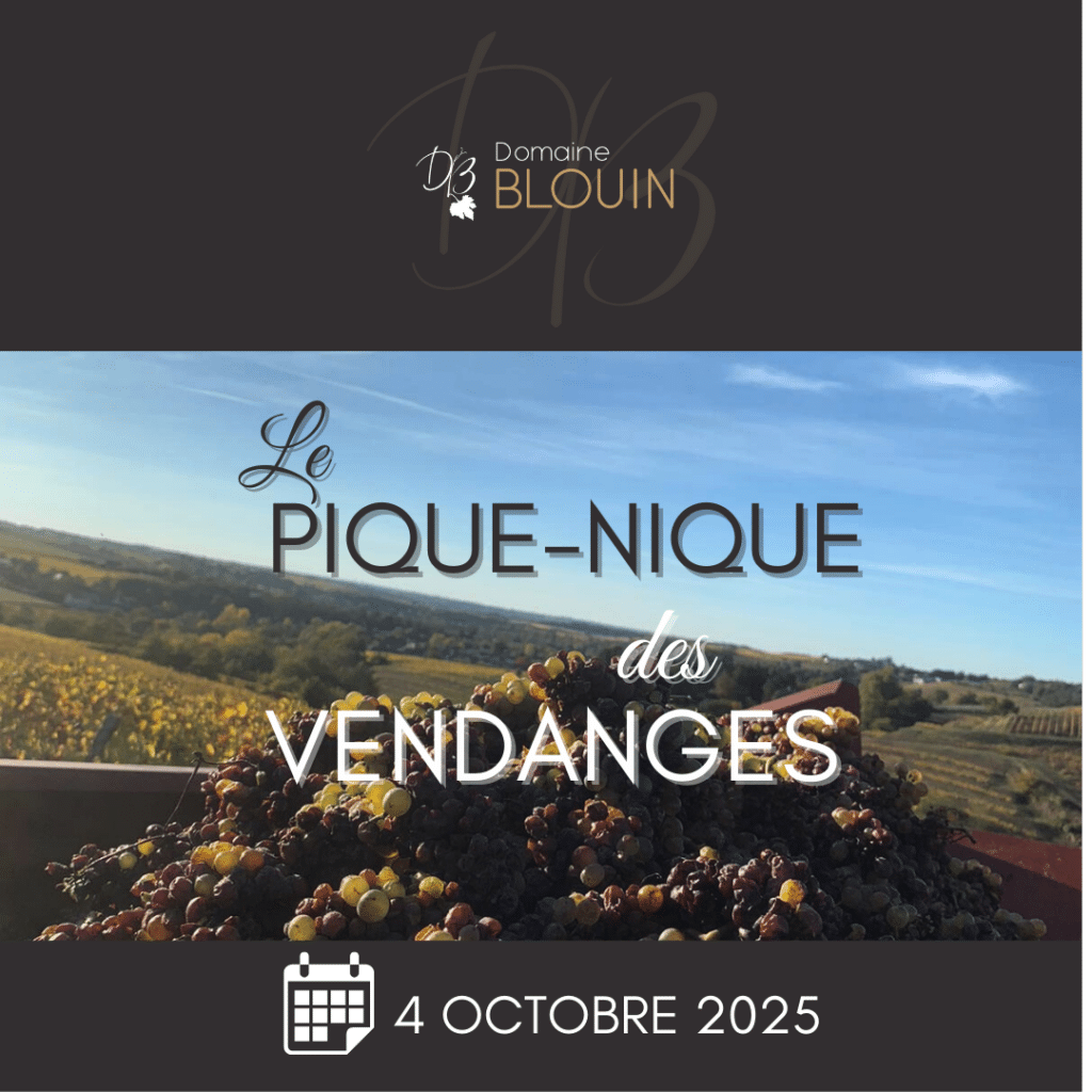 Pique-Nique des Vendanges 2025