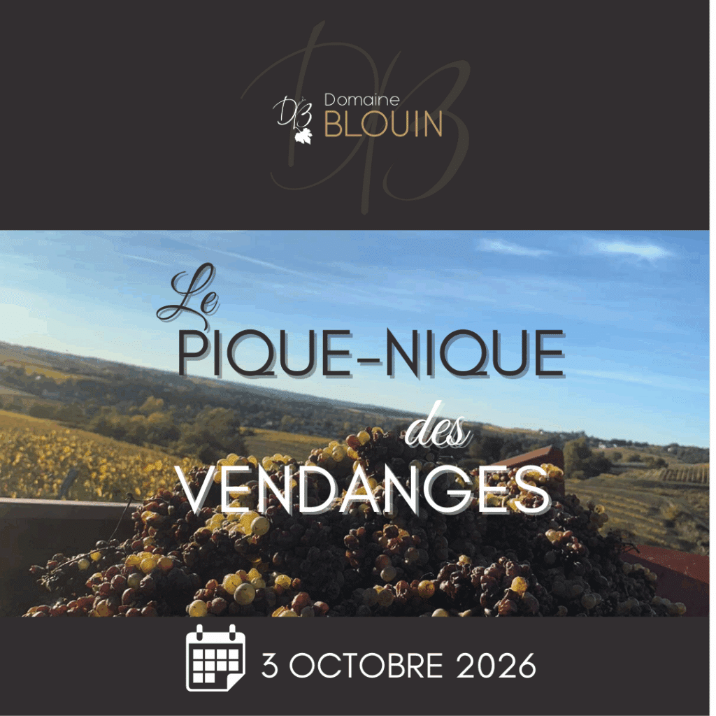 Pique-Nique des Vendanges 2026